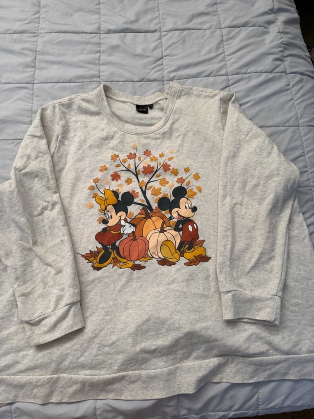 Disney Mickey & Friends Heather Cream T‑Neck Pullover